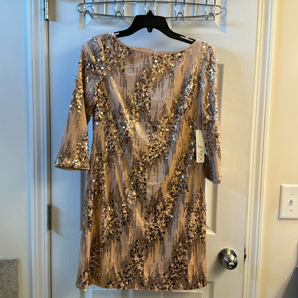 Blush Velvet Sequined Dress